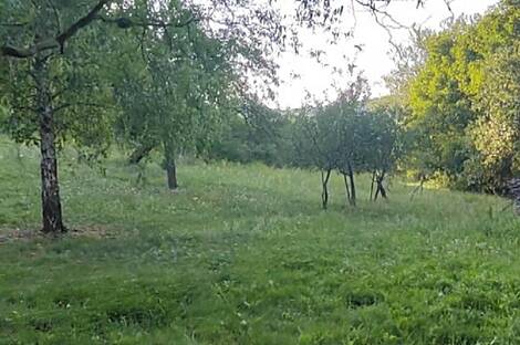 Дом, расположенный в Бизельске.: 10