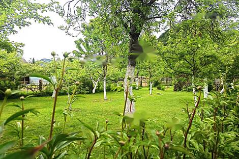 Верхнее Горье, дом: 10