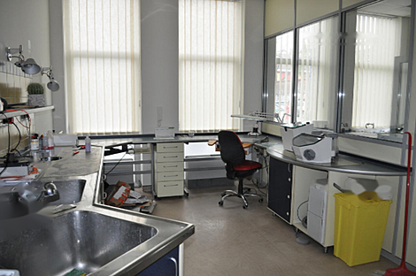 Дом в Центре адаптированный под офис: 4