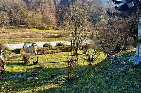 Дом, Пишемце: 6