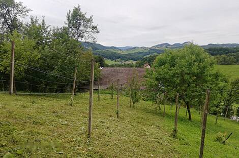 Дом, Забика, Пустики.: 6