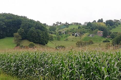 Дом, Забика, Пустики.: 10