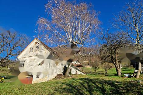 Дом, Долгая Гора: 4