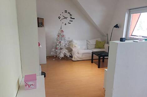 Дом в районе Вич, Любляна.: 12