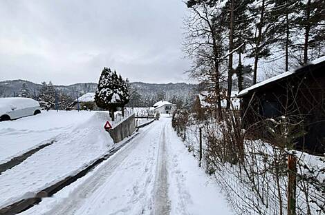 Дом, Двойняшки Верхняя Бесница: 14