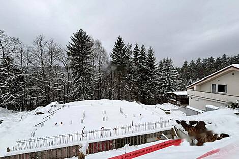 Дом, Двойняшки Верхняя Бесница: 17