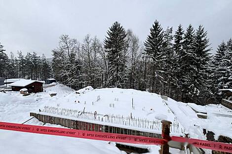 Дом, Двойняшки Верхняя Бесница: 21