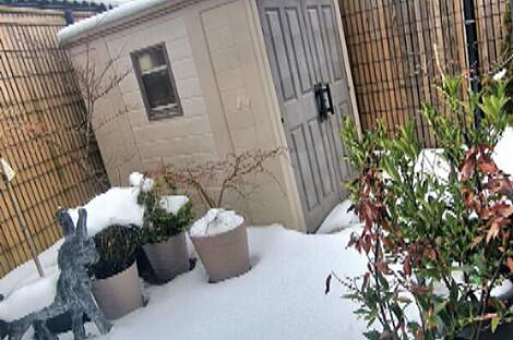 Жилище, Рудник: 29