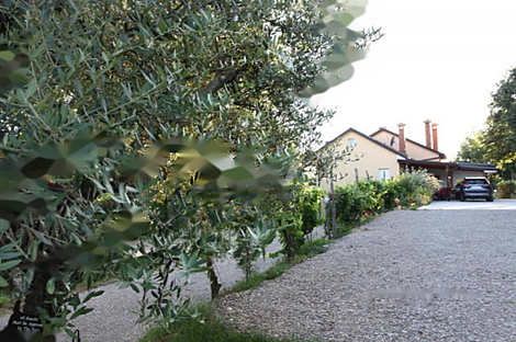 Обитель Драгонья: 4