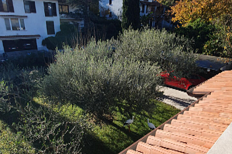 Дом Изола Ягоде Новый: 25