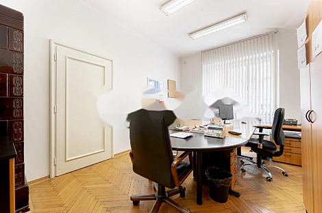 Дом с пятью и более комнатами в центре.: 10