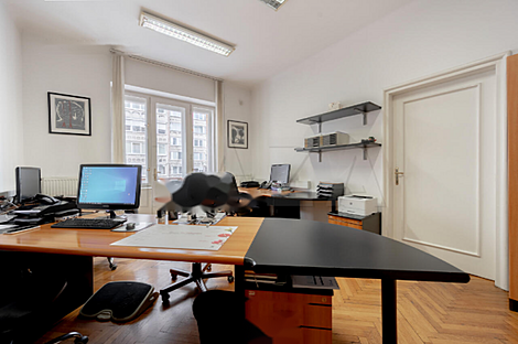 Дом с пятью и более комнатами в центре.: 13