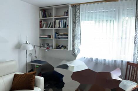 Квартира-студия Новая Шишка: 5