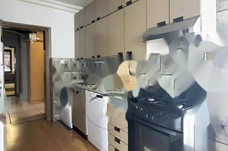 Четырехкомнатная квартира Шишка: 3