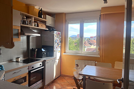 Квартира с двумя комнатами в Топнишке: 1