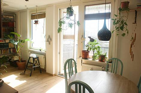 Жилье на улице 2.5 Шишка Алейя: 6