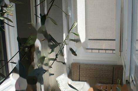 Жилье на улице 2.5 Шишка Алейя: 12