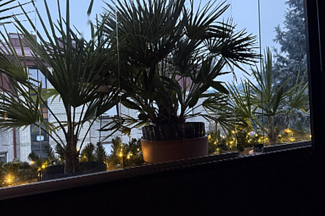 Квартира из четырех комнат: 27