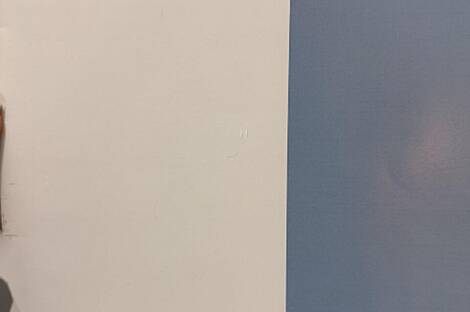 Квартира из трёх комнат в центральной части города: 22