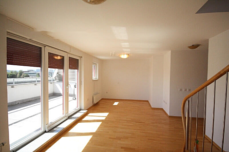 Любляна, 5+ комнат, квартира: 3