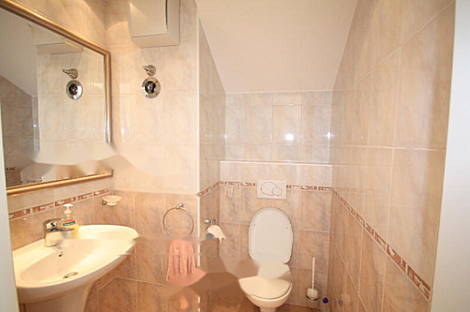 Любляна, 5+ комнат, квартира: 8