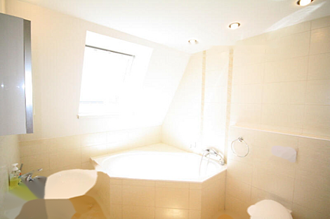 Любляна, 5+ комнат, квартира: 10