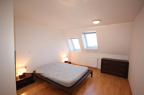 Любляна, 5+ комнат, квартира: 12