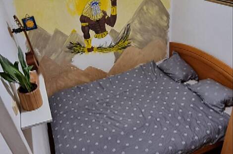 Апартаменты 1,5 комнаты. Новая Любляна Вич: 5