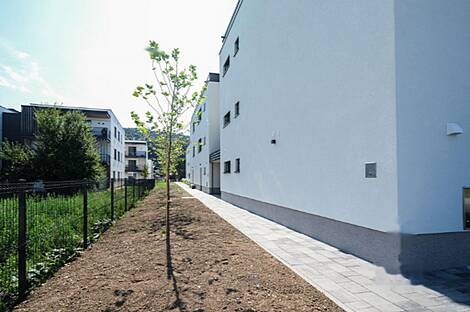 Двухкомнатная квартира в Новой Надгорице: 13