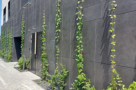 Четырехкомнатная квартира в Шишке: 6