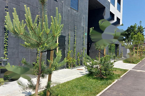 Четырехкомнатная квартира в Шишке: 7