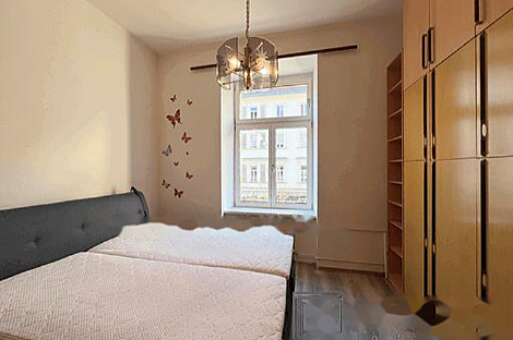 Двухкомнатная квартира в центре: 9