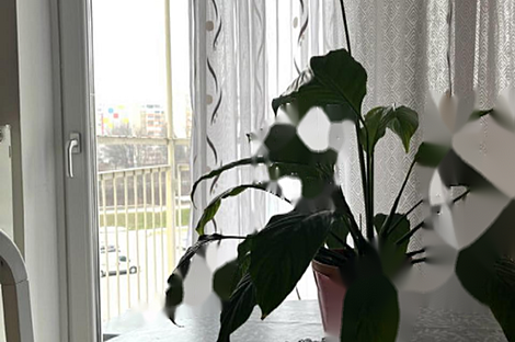 Квартира с одной комнатой в Шишке: 4