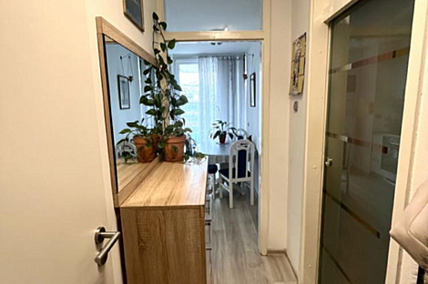 Квартира с одной комнатой в Шишке: 9