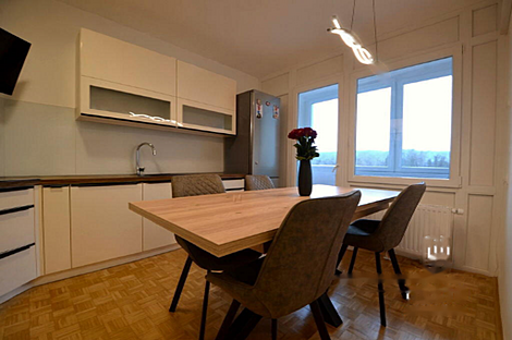 Однокомнатная квартира в Нове Фужине: 2