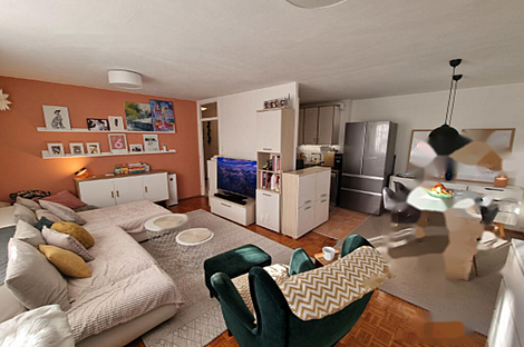 Квартира Шишка с тремя комнатами: 1