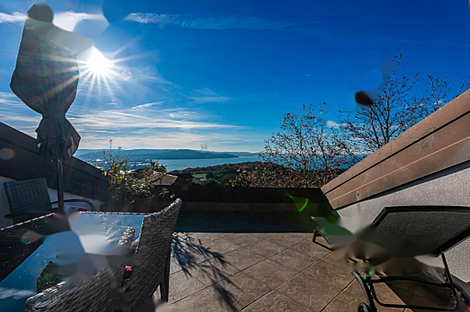 Апартаменты с пятью и более комнатами: 24