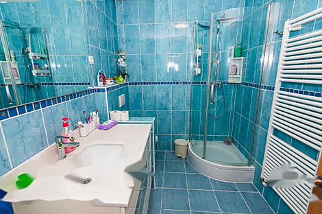 Апартаменты с пятью и более комнатами: 29