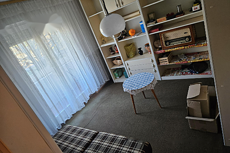 Трёхкомнатная квартира в Ленивеце: 8