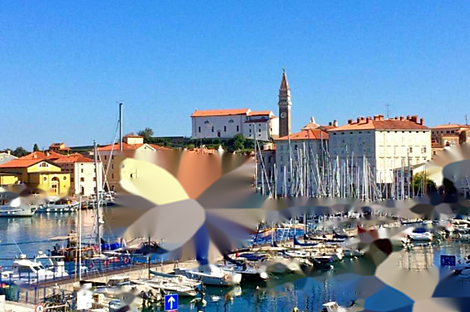 Квартира с пятью комнатами в Пиране: 21