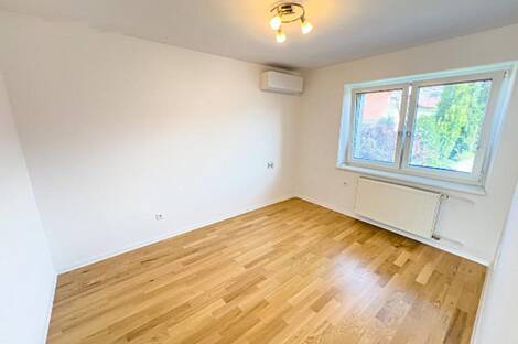 Здание в Любляне, Шишка: 12