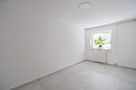 Жилище, Бродящий: 20