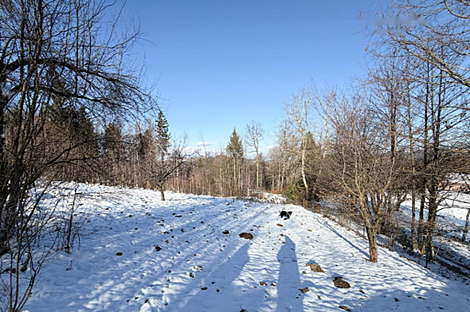 Явор Дом Любляна Добрунье: 8