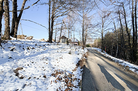 Явор Дом Любляна Добрунье: 10