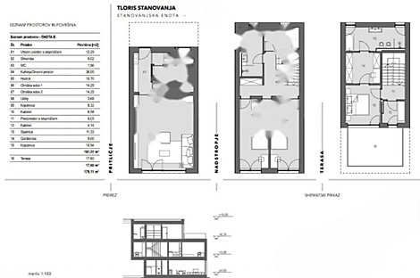 Резиденция с террасой в районе Новая Любляна Вич: 2