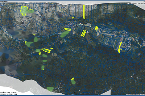 Имение Независимое Хозяйство в Берестовице: 29