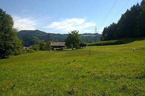 Вуженица, усадьба, ферма: 3