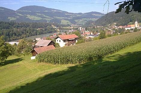 Вуженица, усадьба, ферма: 4