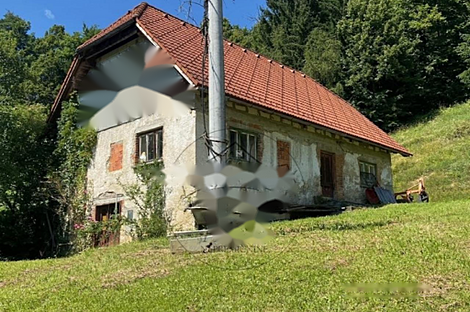 Дом, ферма Лашская Деревня.: 4