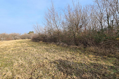 Дом, сельское хозяйство Тиньян, Урбанцы.: 3